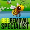 Bee Removal - Wildlife - Pest Control